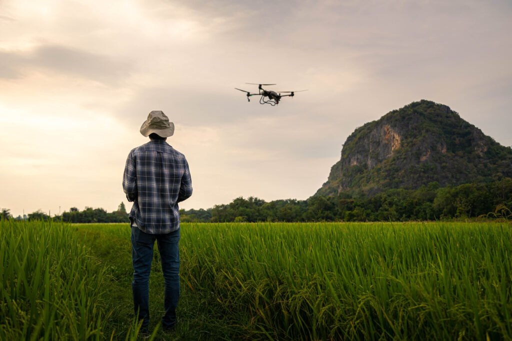 Agricultural specialist controls agriculture drone with remote c