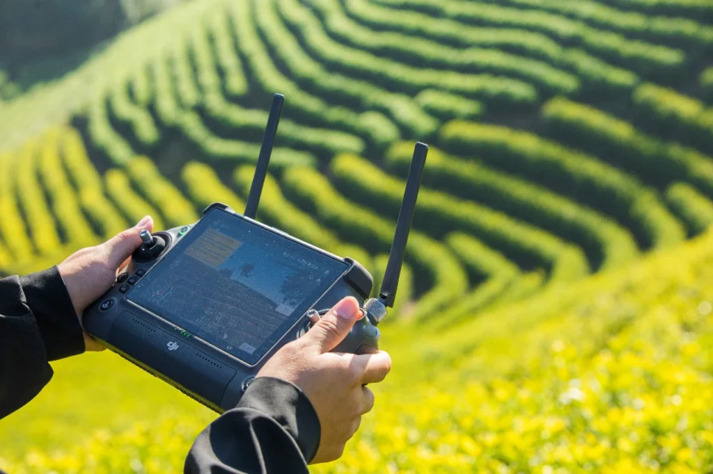 WhatsApp_Image_2025-03-26_at_4.11.42_PM